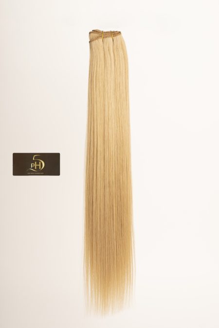Extensión de Cabello Natural 22" Tonos Rubios - PH5